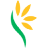 Lynch Group Holdings Ltd